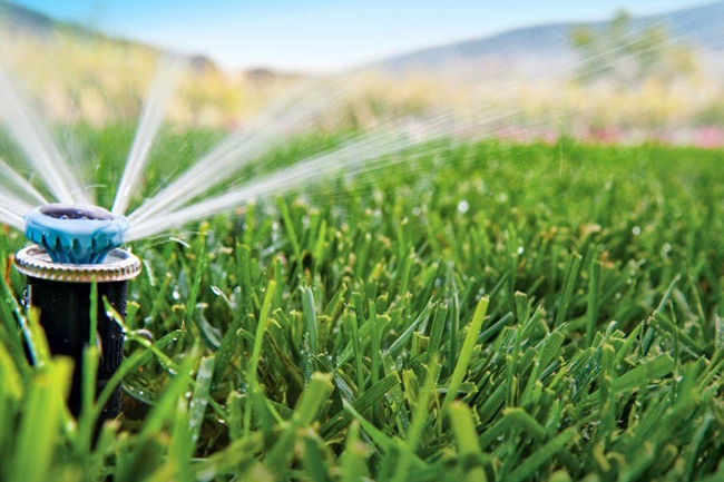 Mantención de áreas verdes en Antofagasta